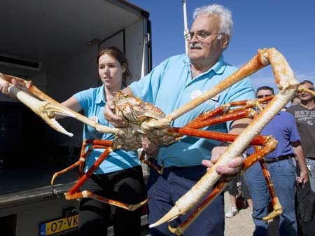 Bí[-]ẩn[-]loài[-]cua[-]dài[-]bằng[-]xe[-]hơi[-]ở[-]Thái[-]Bình[-]Dương